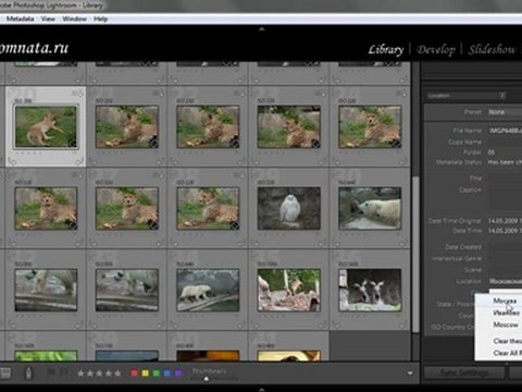 Урок 014 полного русского курса по Lightroom 2