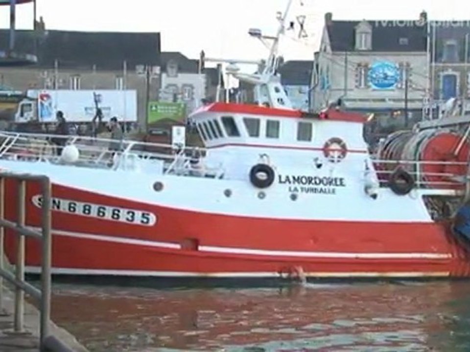 Gestion commune des ports du Croisic et de La Turballe : 1er bilan