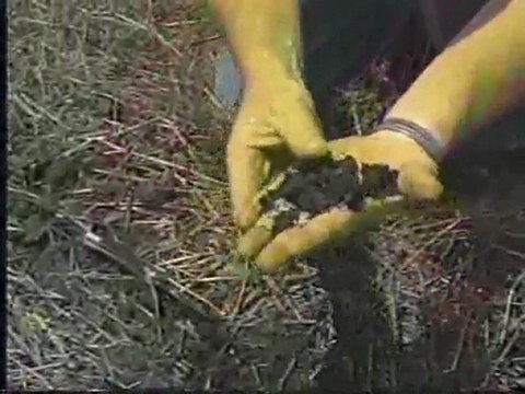 (DVD11) (10) RECURSOS NATURALES RENOVABLES