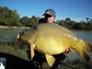 Session carpe ( grosses carpes )