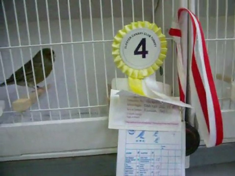 01-KLÜP SHOW 2011 | FESHANE