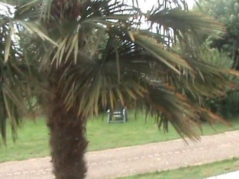 Terrasse contemporaine composite gris version longue