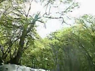 YANNI ...TRUE NATURE