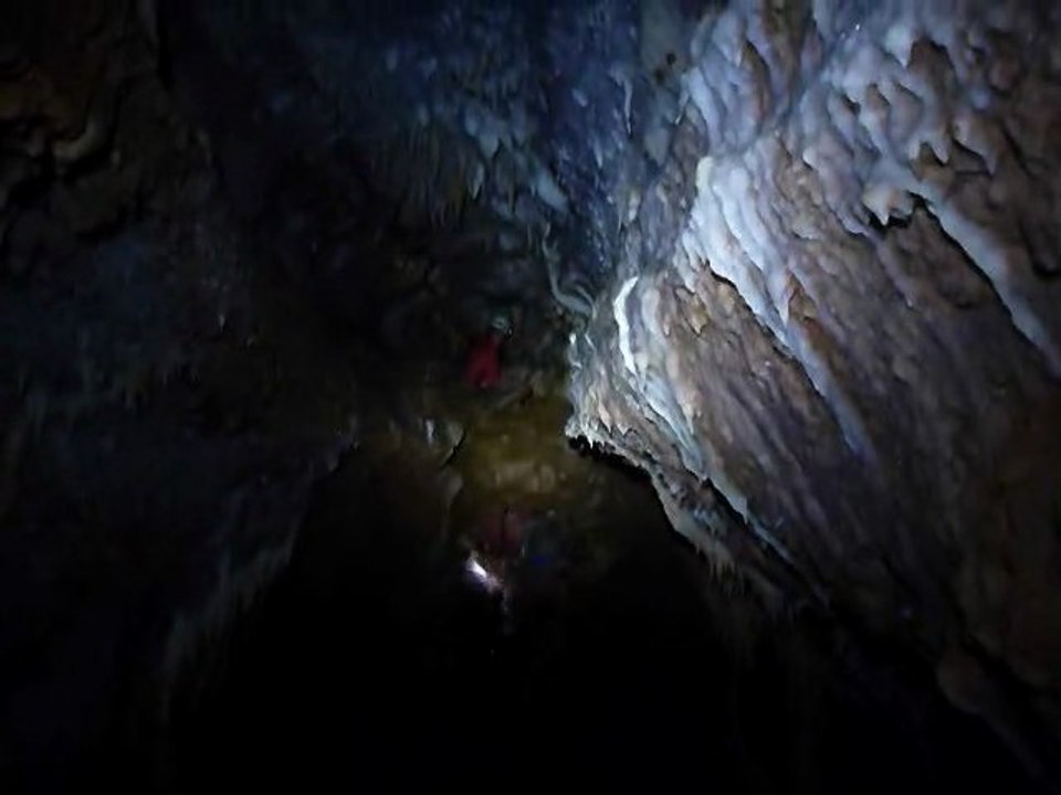 CLIP0002