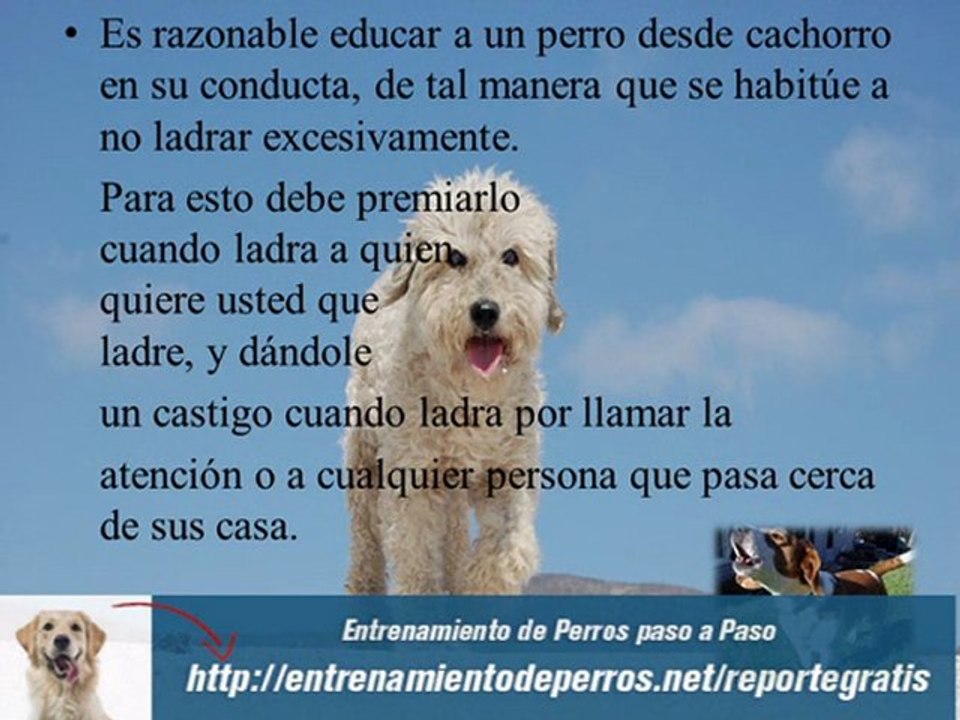 Secretos del Entrenamiento Canino o Adiestramiento de perros