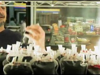 Loja de Solidariedade