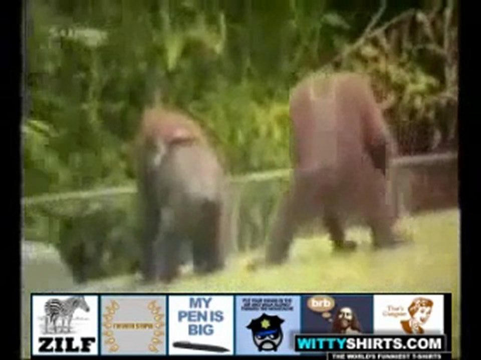 Eğlenceli görüntüler