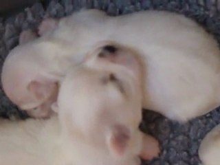 bébés de belly le 10 11 2011