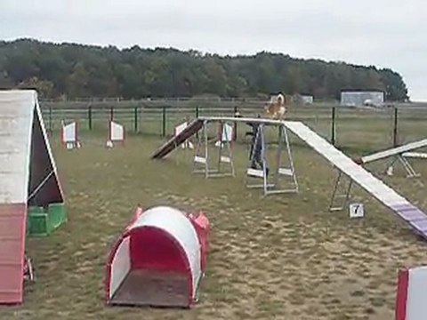 Drako agility ...parcours de brevet blanc