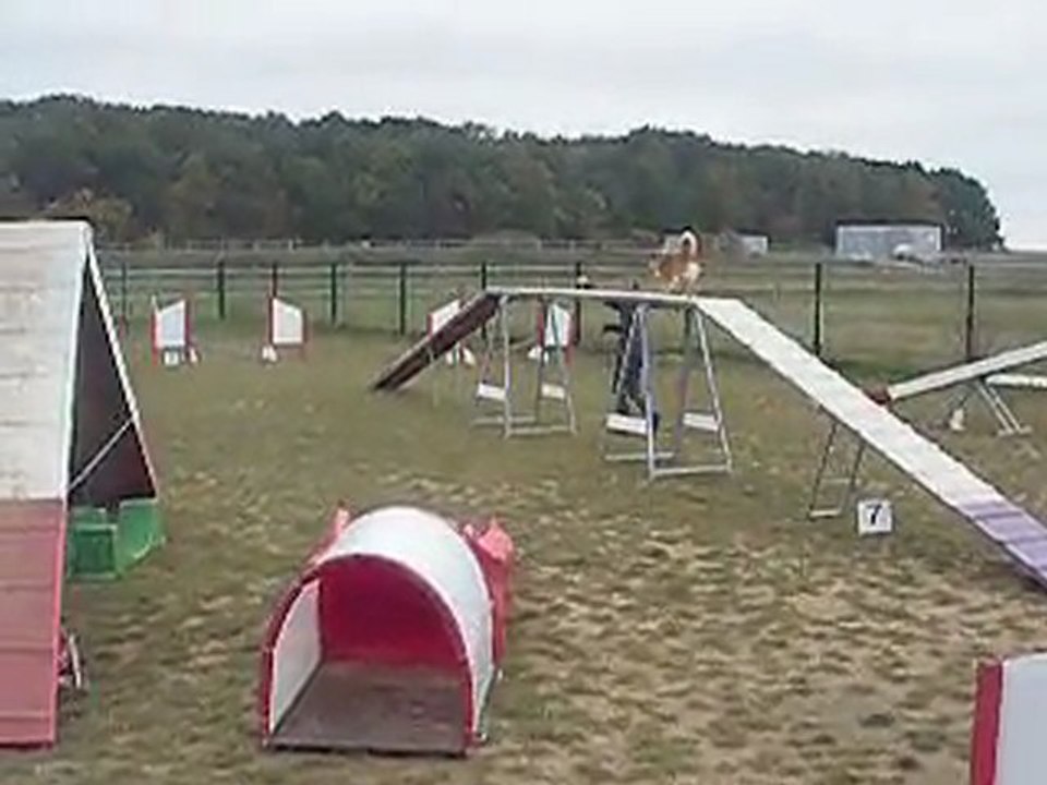 Drako agility ...parcours de brevet blanc