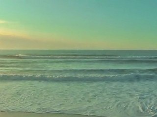 Jeudi 10 Novembre - Report vidéo 18H