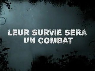 Bande-annonce Suicide Island