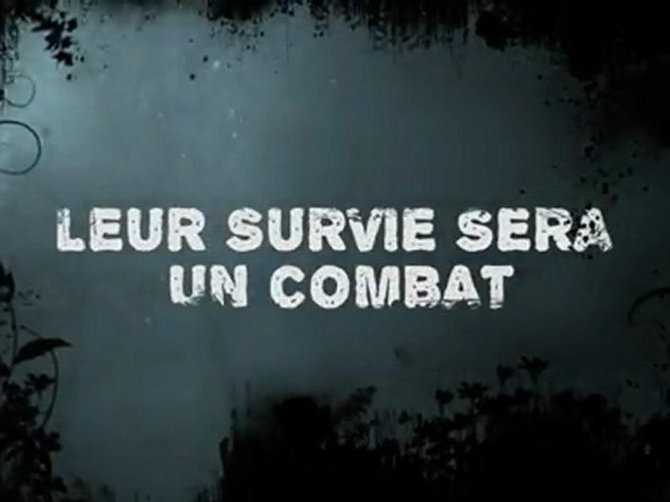 Bande-annonce Suicide Island