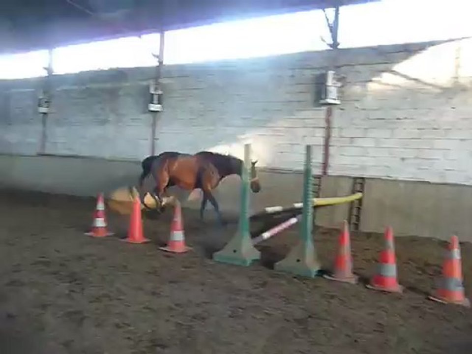 novembre 2011 Soierie saut en lib