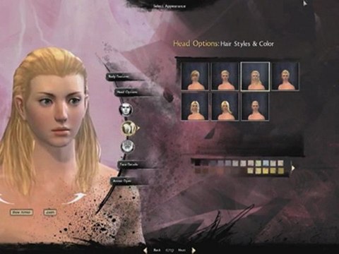 Guild Wars 2 : Character Customization