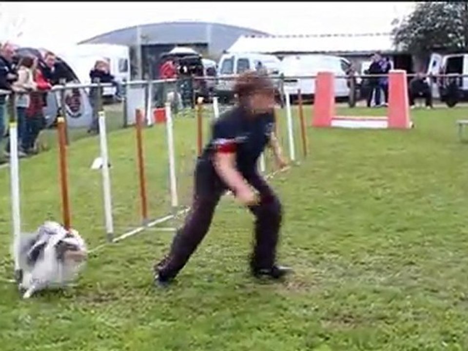laurence crunch