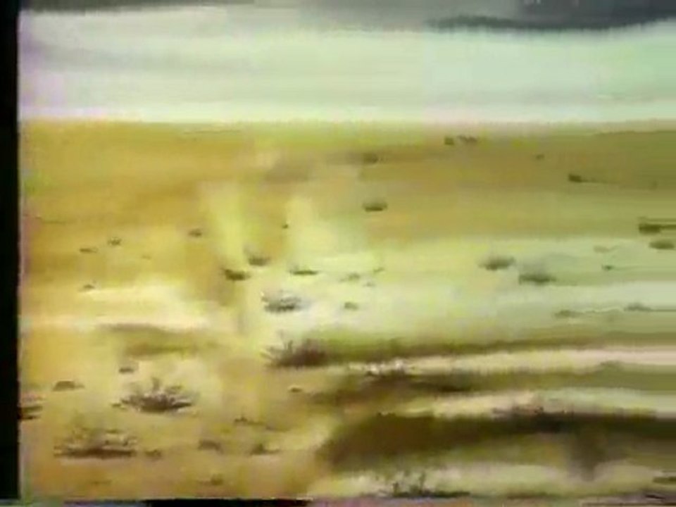 (DVD12) (07) CUIDA EL PAISAJE, CAMPAÑA