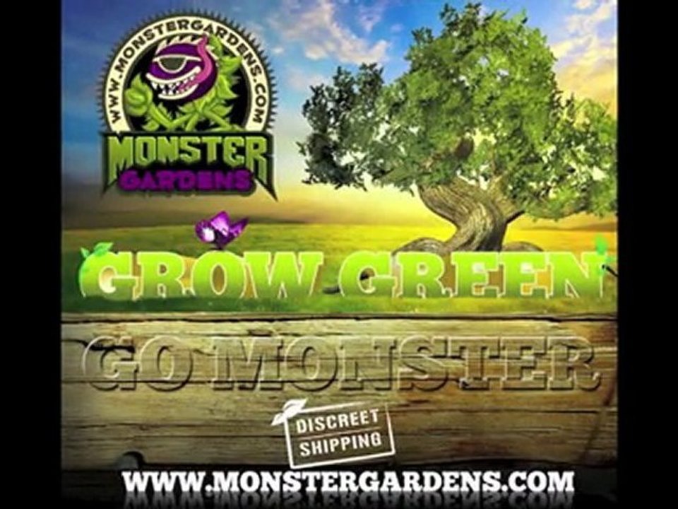 Trim Tray Trim Bin TrimBin By Harvest More Trimming Tray Review Online Hydroponics Stores