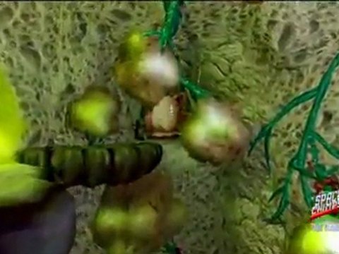 Les Chimpanzes de l'Espace