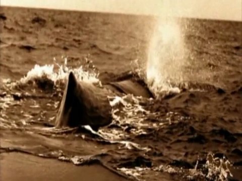 Baudelaire par Saez - Femmes Damnées