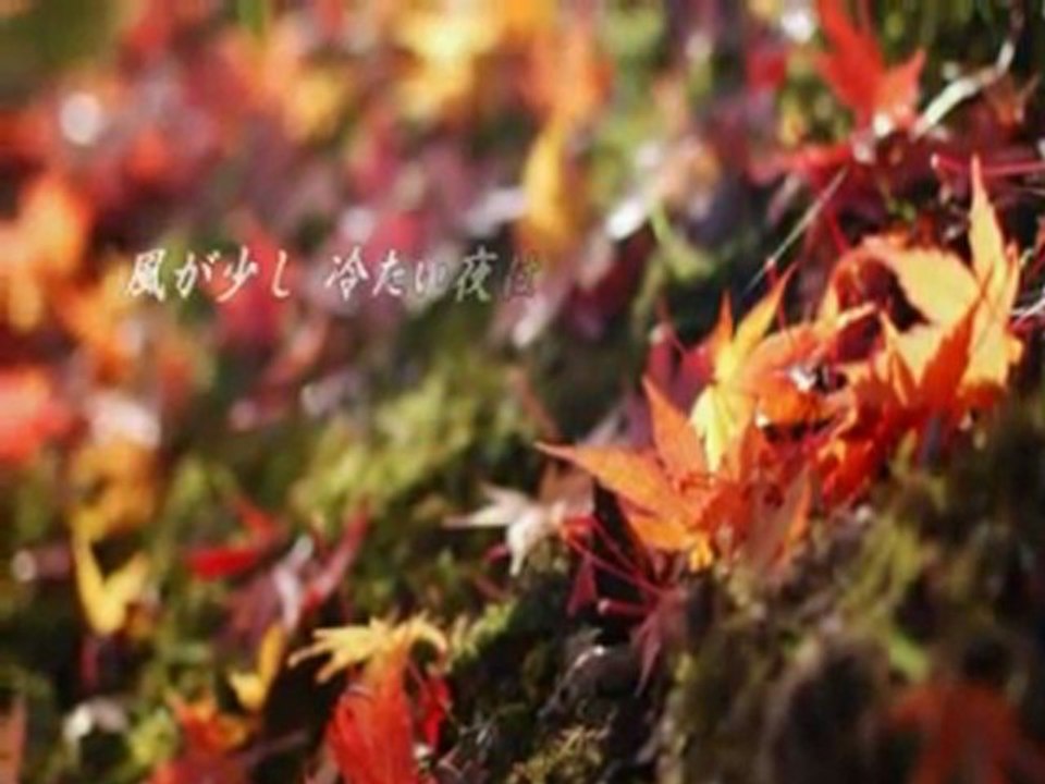 松田聖子　愛されたいの