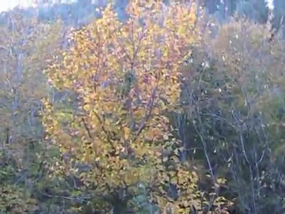 DAĞLARDA SONBAHAR