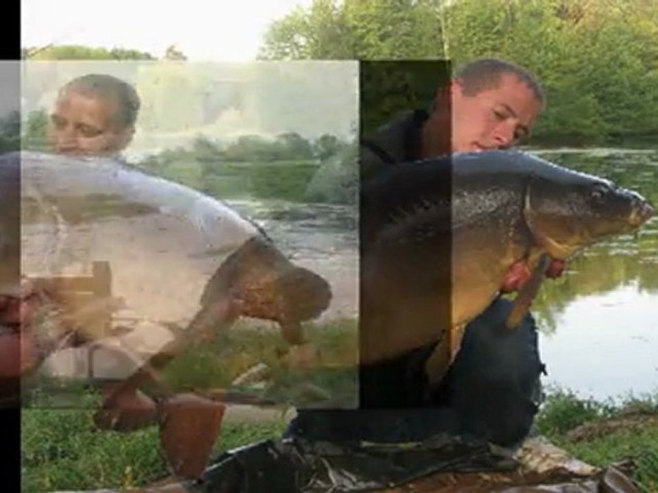 Séssion graviére carpe Big fish !!
