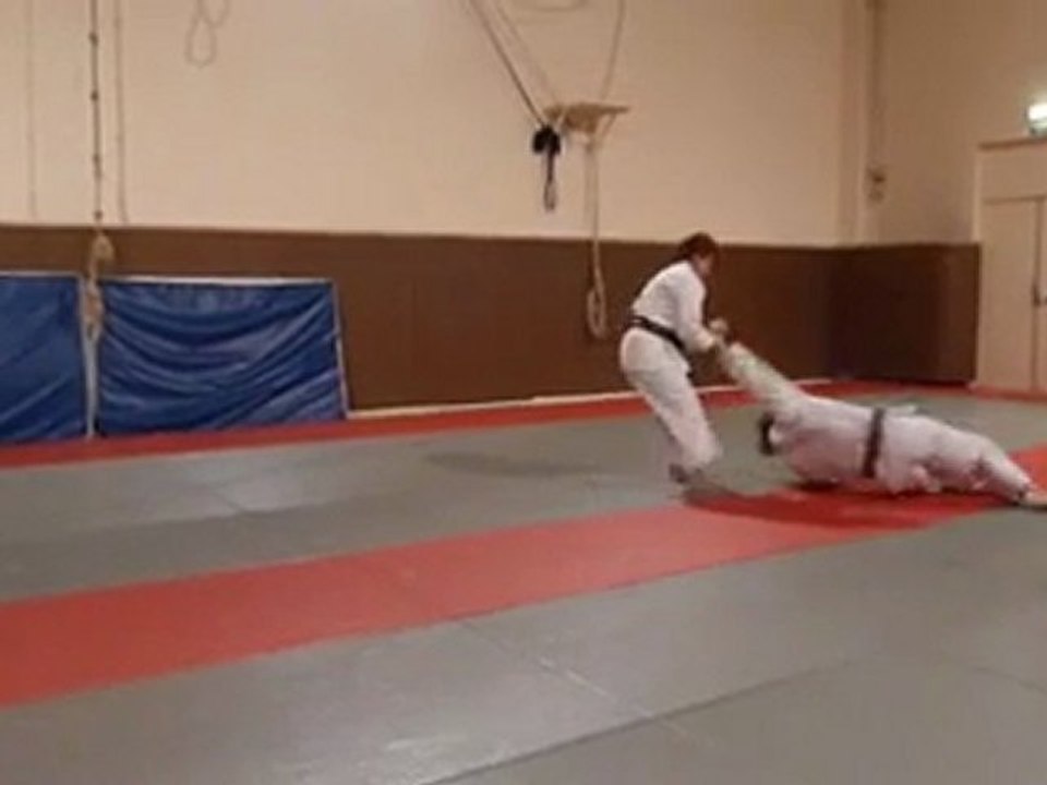 Nihon Tai-Jitsu Kihon Kata