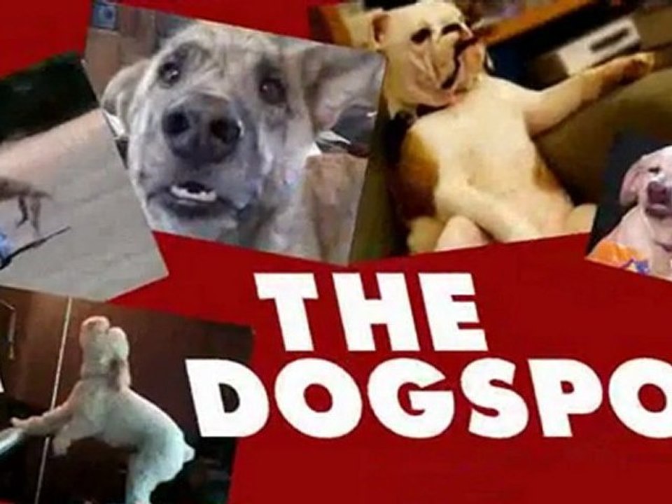YouTube This Week 07