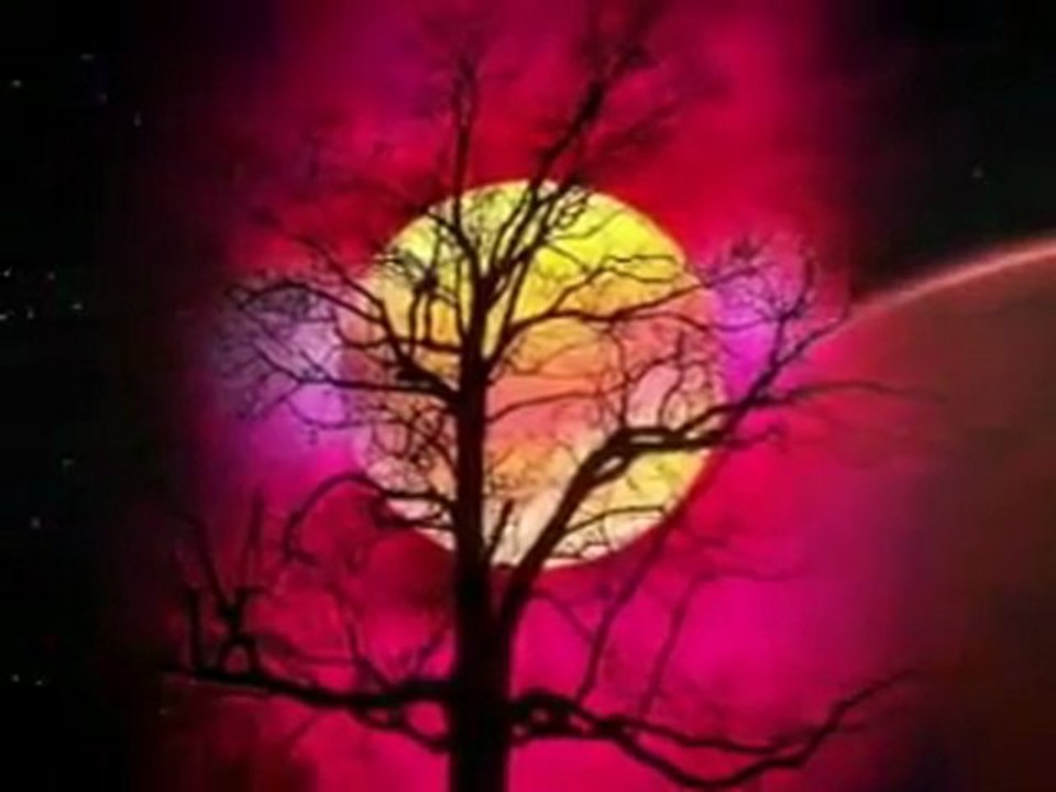 Alessandro Safina   Luna