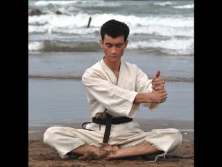 Karate, taekwendo, full contact,grand écart-spagat