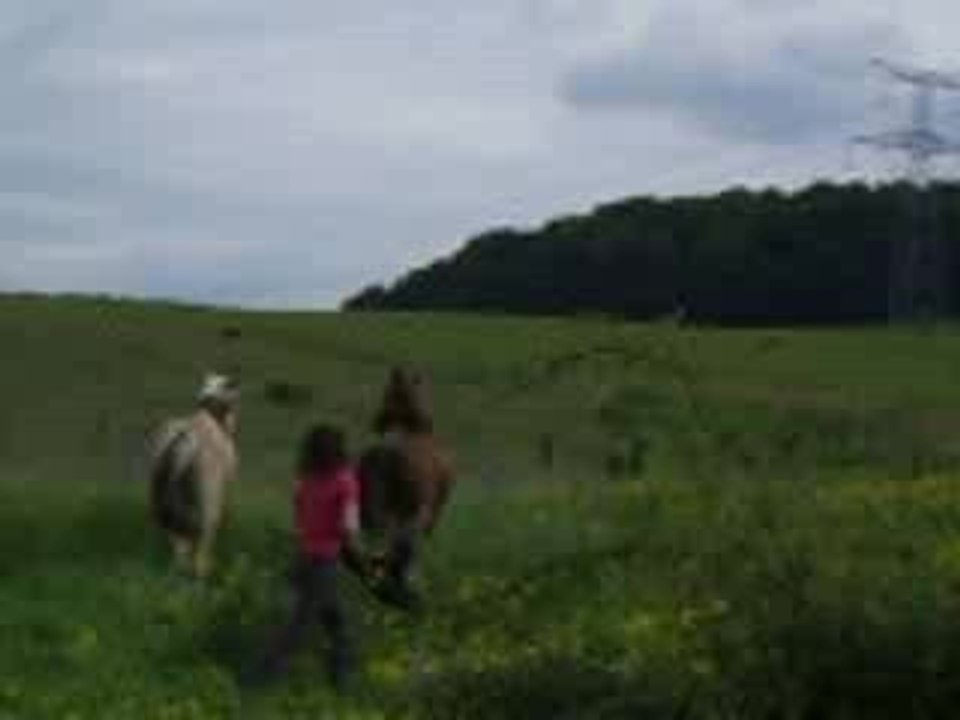 5 juin 2006 155