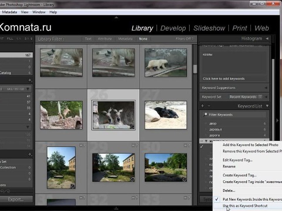 Урок 018 полного русского курса по Lightroom 2