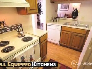 Braesview Apartments in San Antonio, TX - ForRent.com