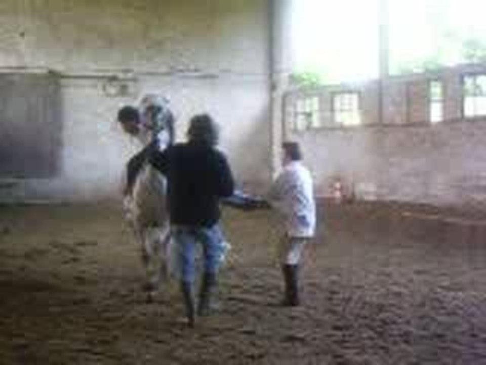 5 juin 2006 167