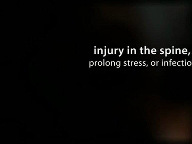 Used For Treatments Of Nerve Diseases