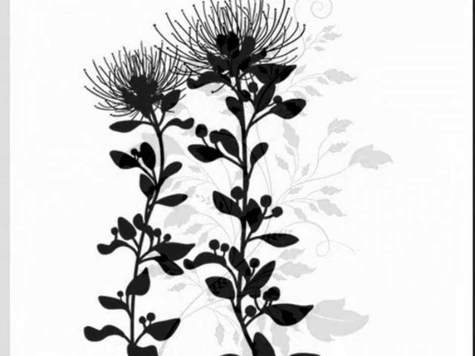 vinilos murales decorativos florales