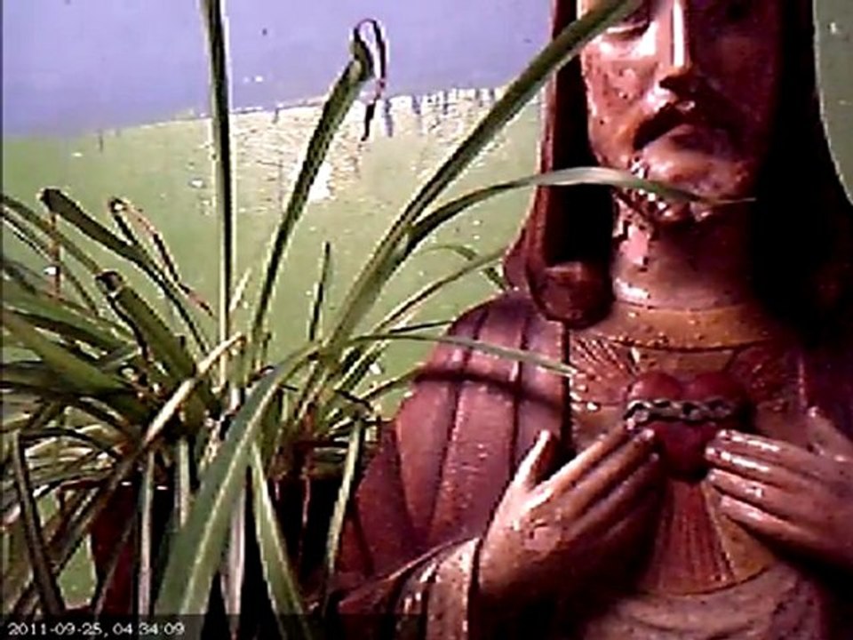 Webcam September 2011