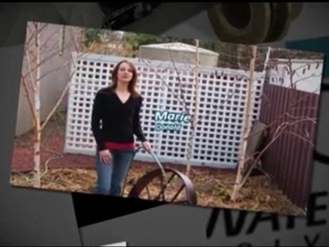 Poly water tanks Victoria: Advice on Setup and installation