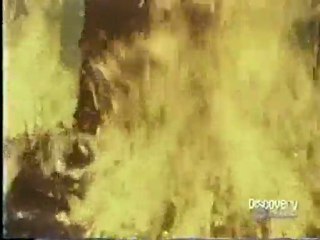 (DVD12) (38) DESASTRES NATURALES, INCENDIO FORESTAL