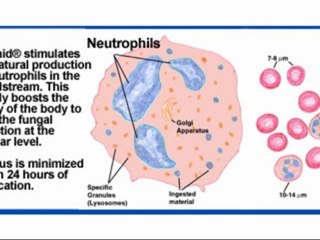 Healing Pruritus Ani without Doctors