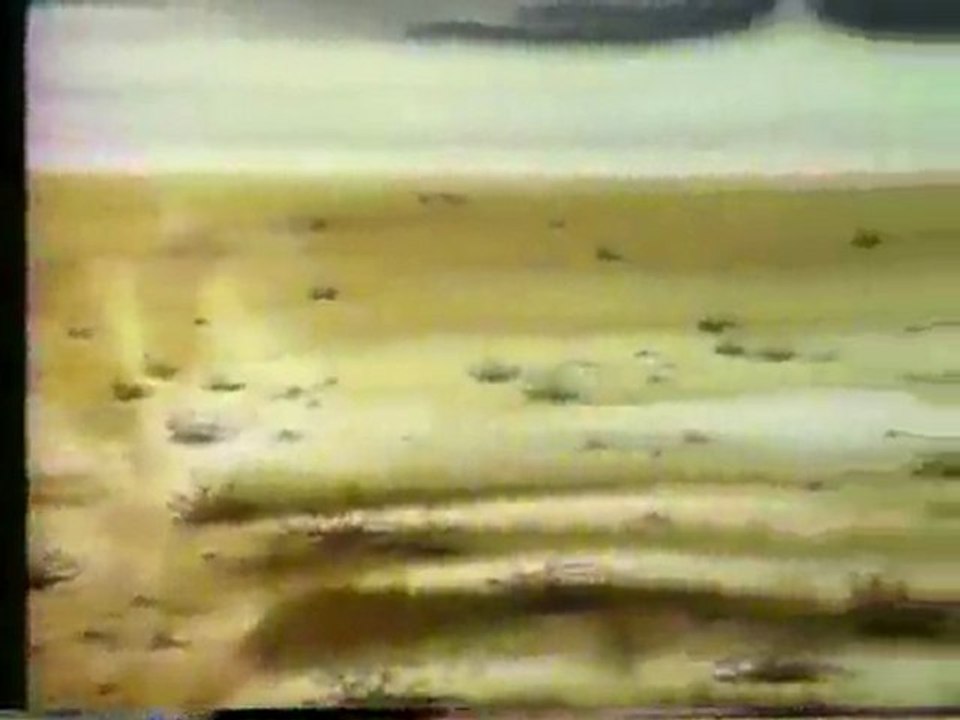 (DVD13) (09) CUIDA EL PAISAJE, CAMPAÑA
