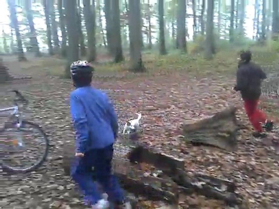 A la poursuite de Gibus1