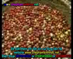 xu ly vo ca phe lam phan vi sinh