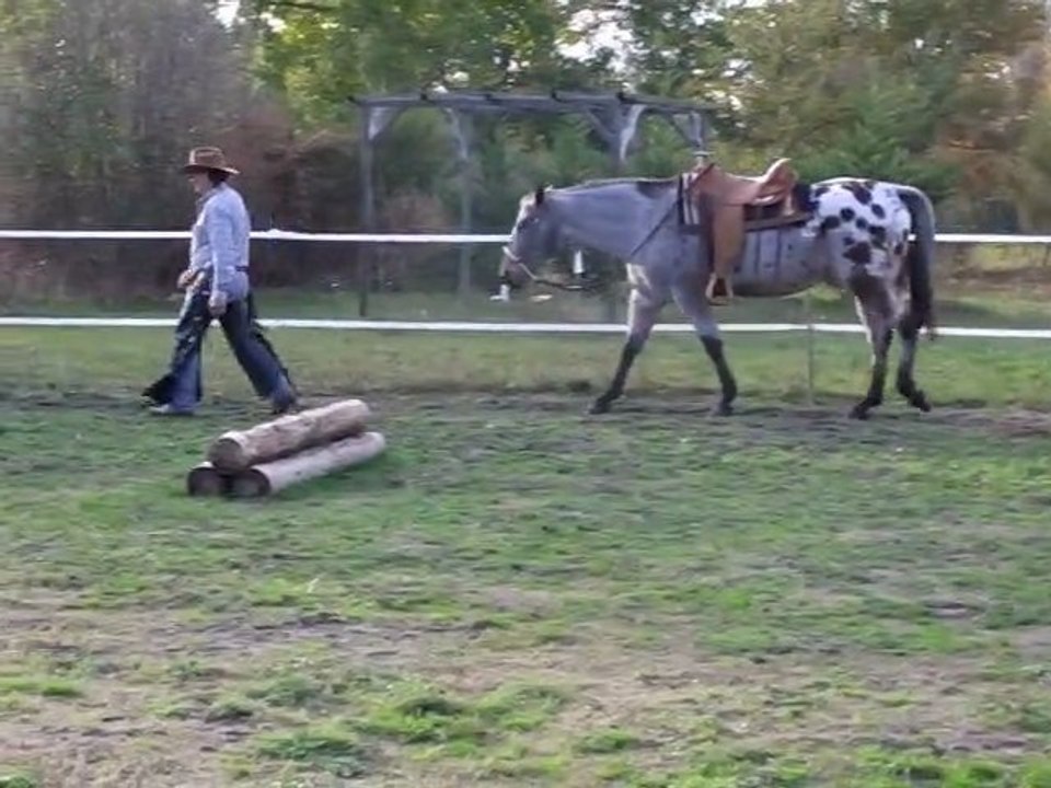 Equitation americaine par l'équithologie au ranch tinkapalo  par  Tony Clemenceau " HORSEMAN "