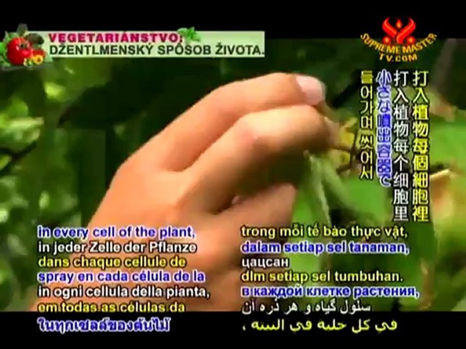 Mongolian Traditional Clothing: Comfort and Elegance - P1/2