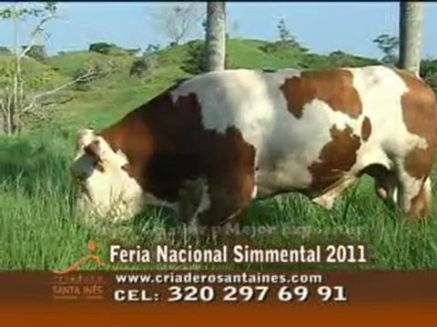 3_SABADO 12 NOVIEMBRE 2011 impulsores internacionales