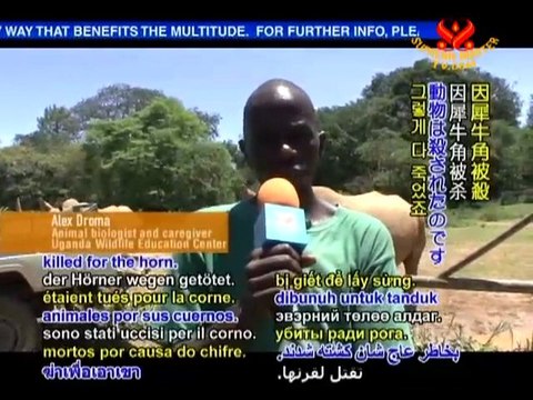 Meet the Animals of the Uganda Wildlife Education Center-1/3