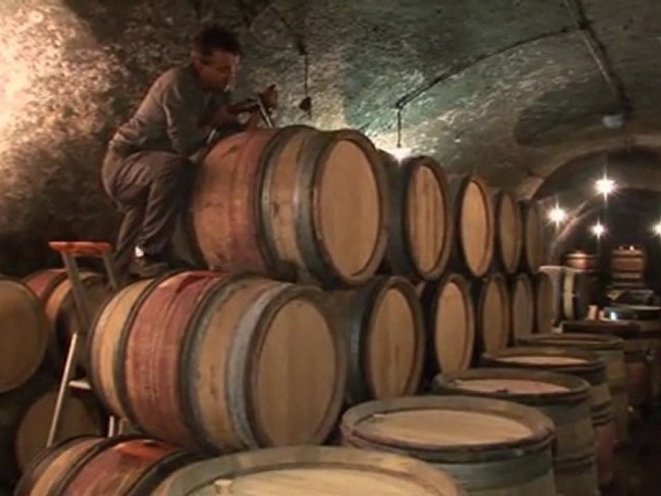 Train trip for cuisine & wine - Beaune, FRANCE
