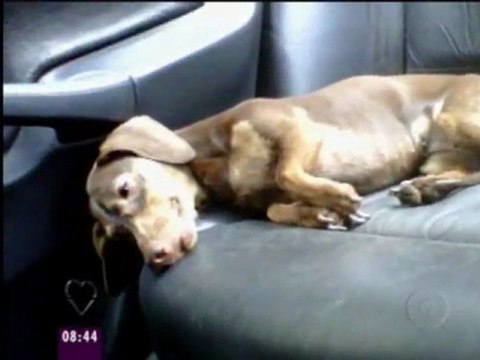 Mais Você 11-11-2011 Parte 1 Programa de sexta-feira